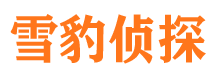 东宝市婚外情调查